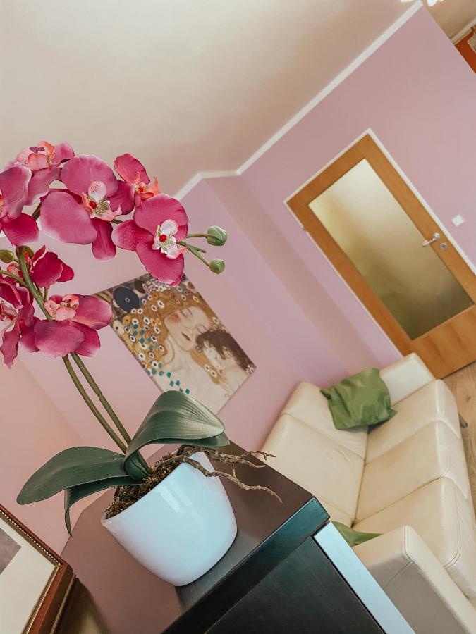 Vienna Citycenter+Terrace+Parking Ngoại thất bức ảnh