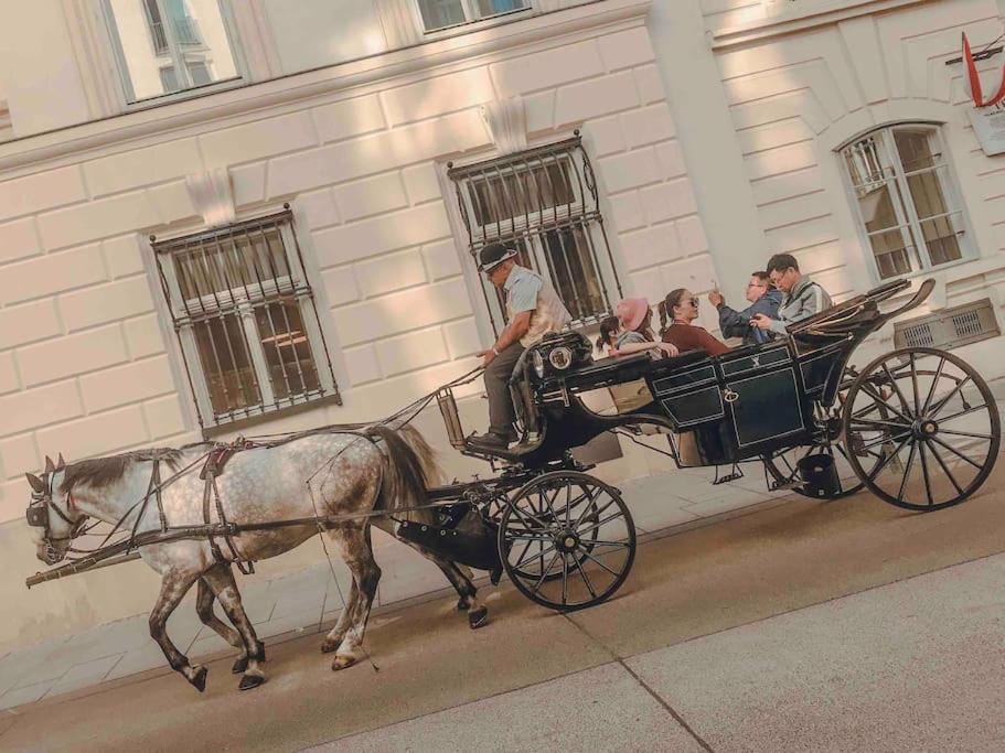 Vienna Citycenter+Terrace+Parking Ngoại thất bức ảnh